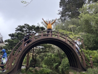 Japanese Tea Garden 10