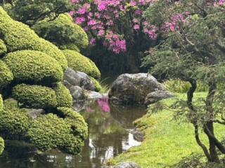 Japanese Tea Garden 11