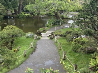 Japanese Tea Garden 13