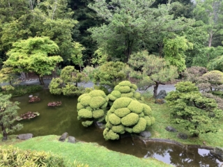 Japanese Tea Garden 16