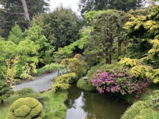 Japanese Tea Garden 17