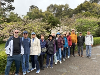 Japanese Tea Garden 6