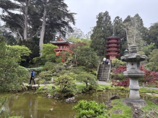 Japanese Tea Garden 7