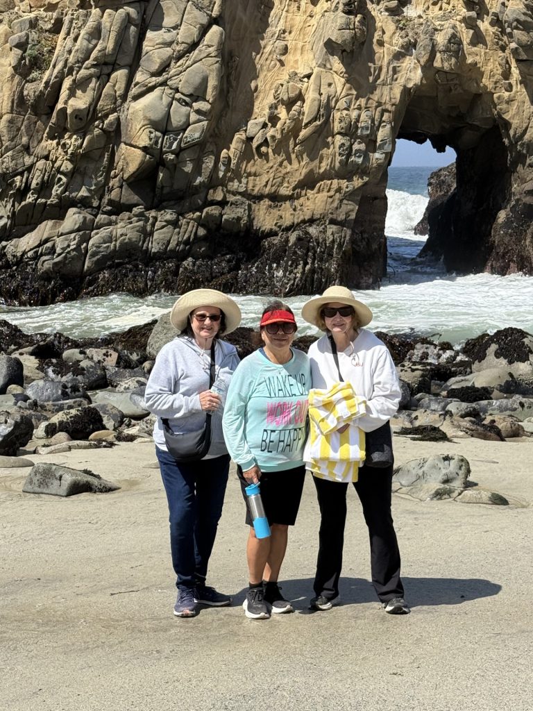 Big Sur 11