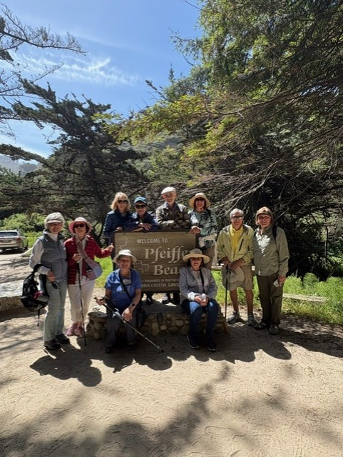 Big Sur 25