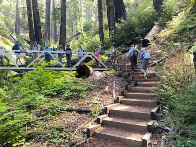 Big Sur 26