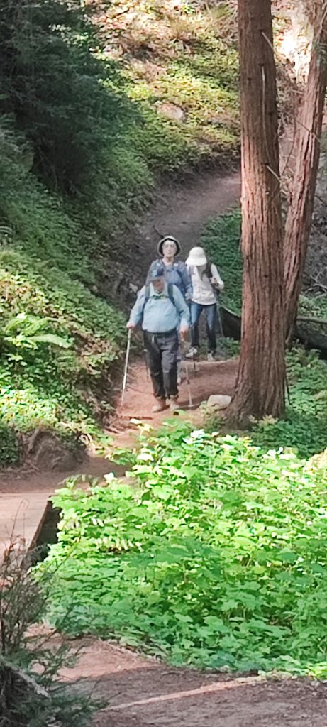 Big Sur 29