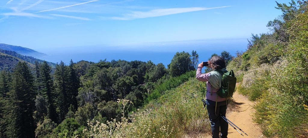 Big Sur 30