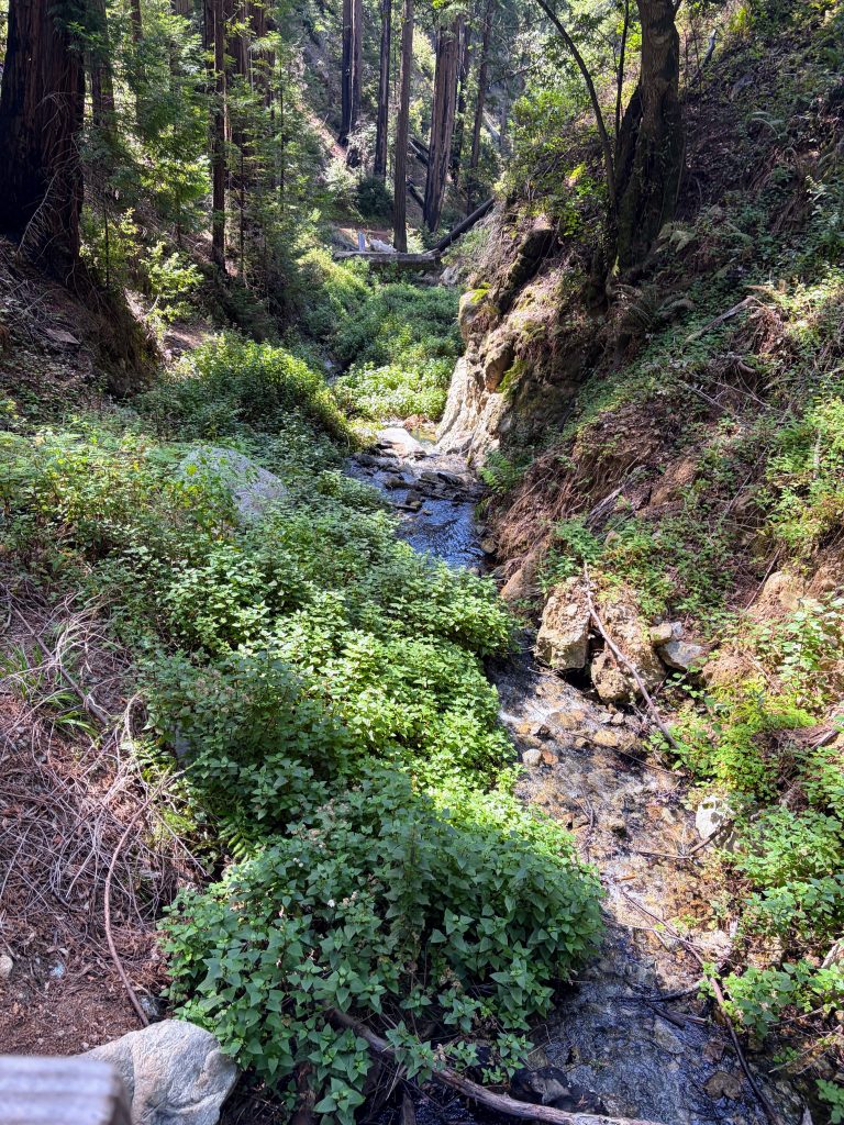 Big Sur 37