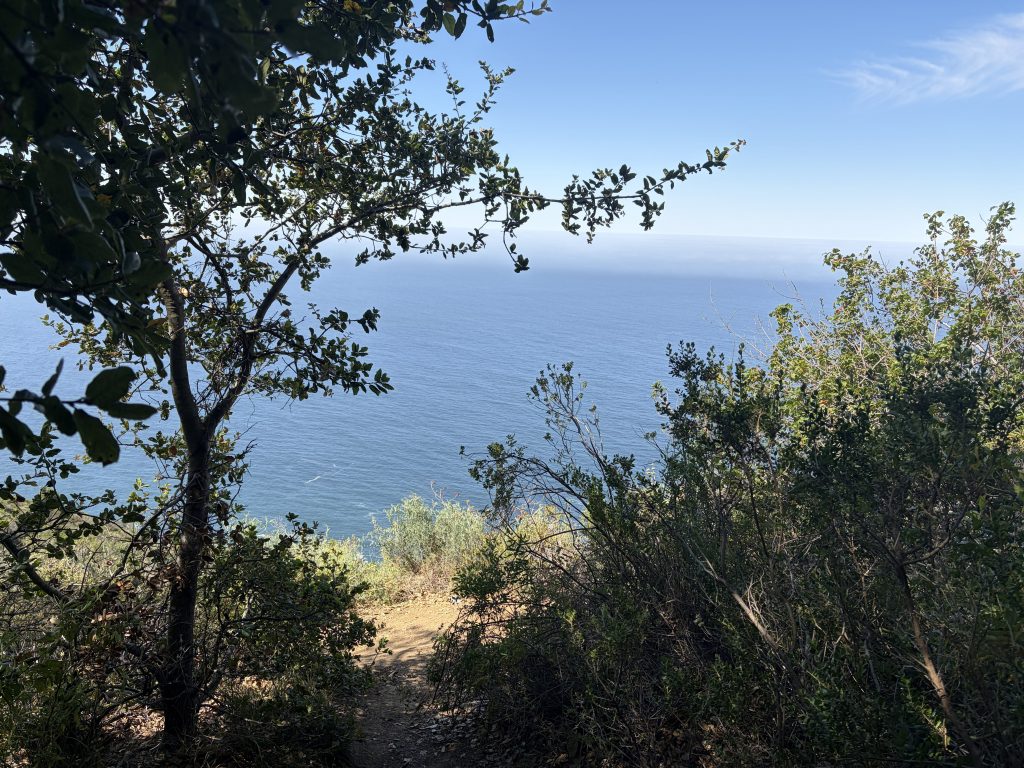 Big Sur 38