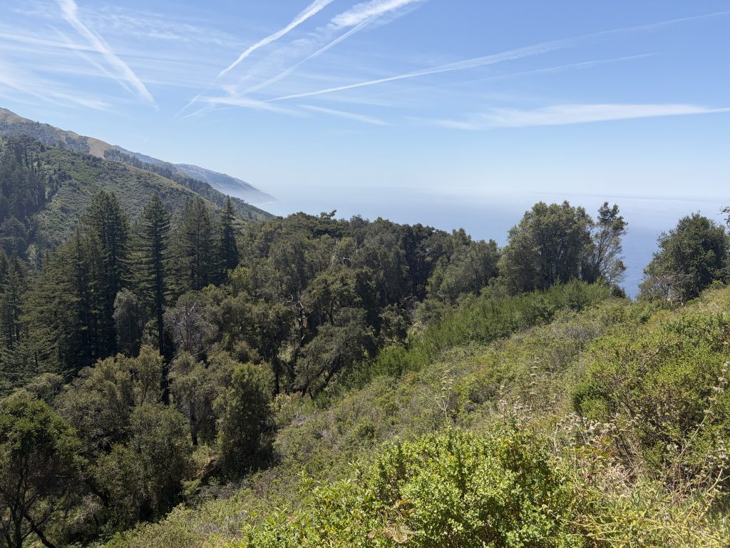 Big Sur 39