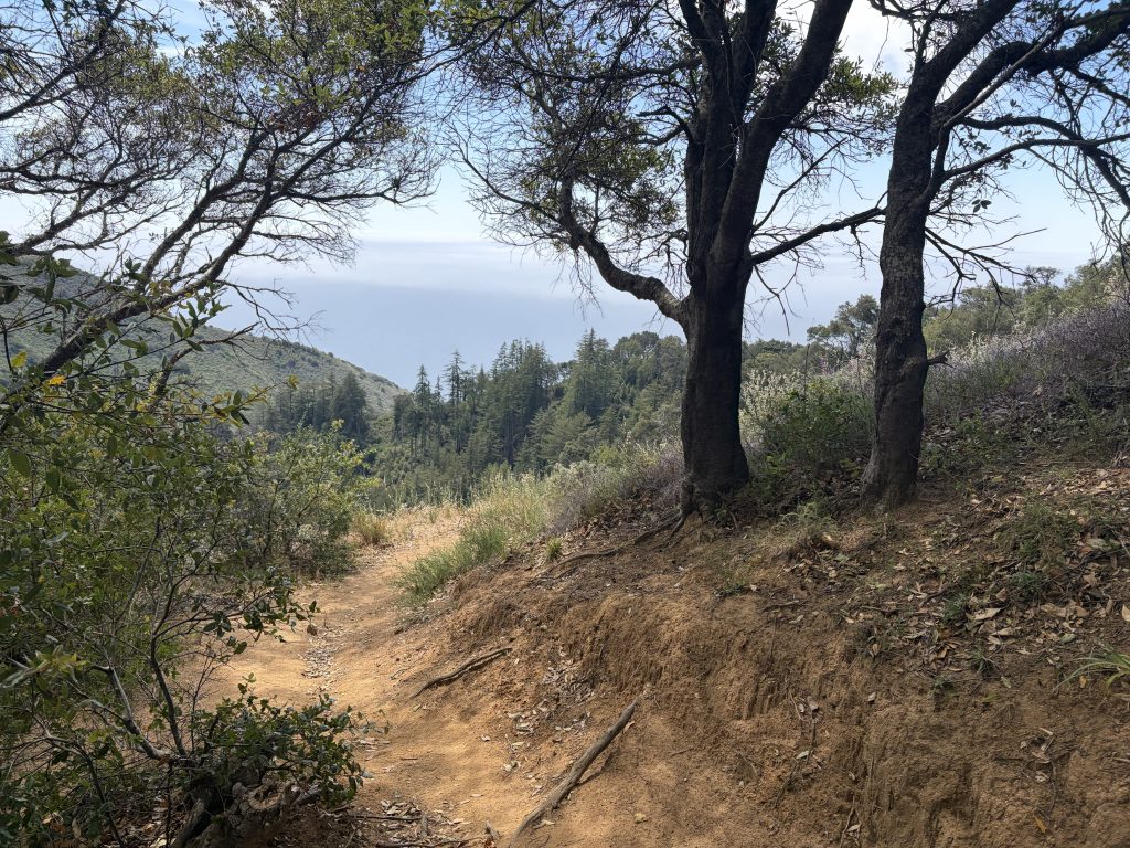 Big Sur 40