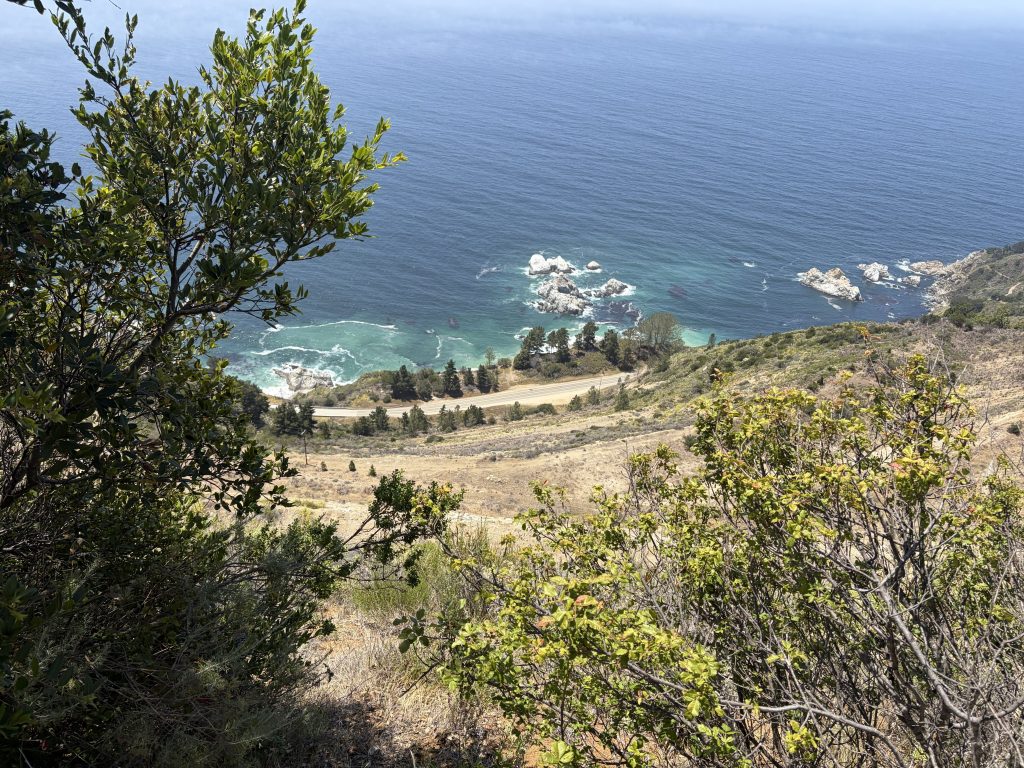 Big Sur 41