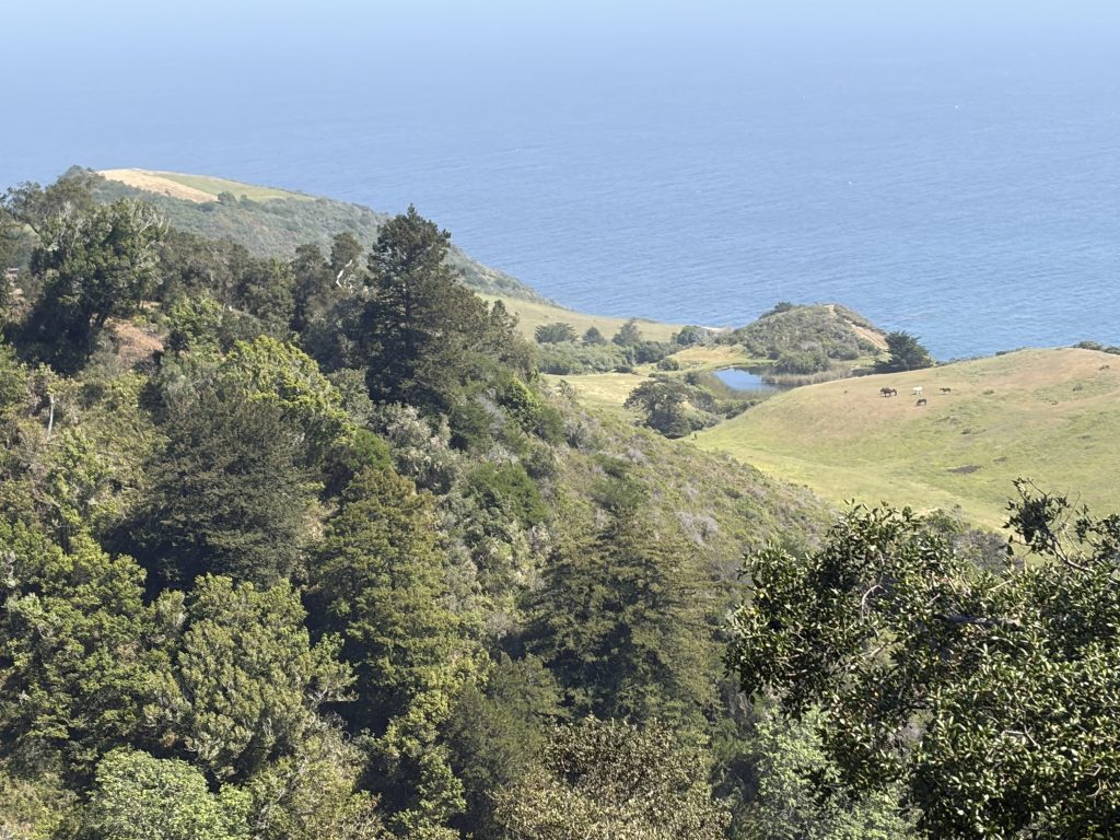 Big Sur 46