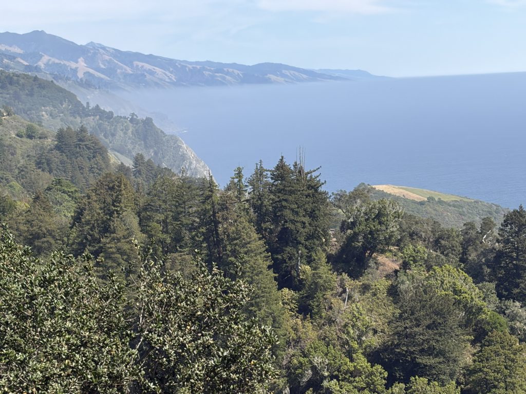 Big Sur 47