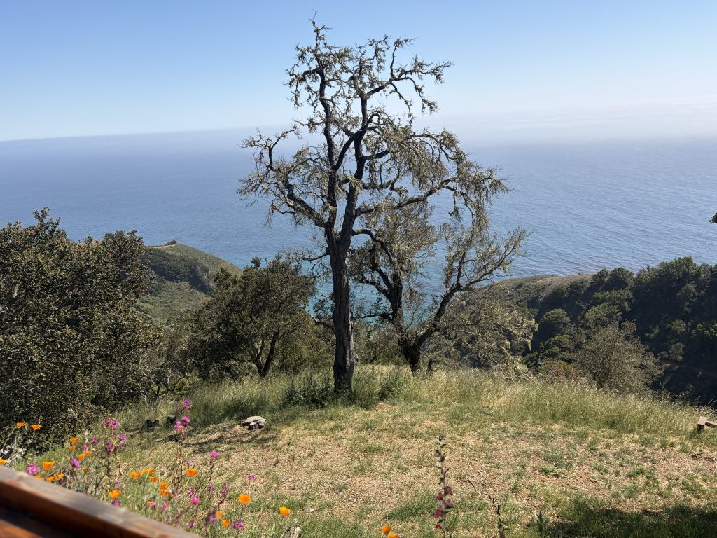 Big Sur 48