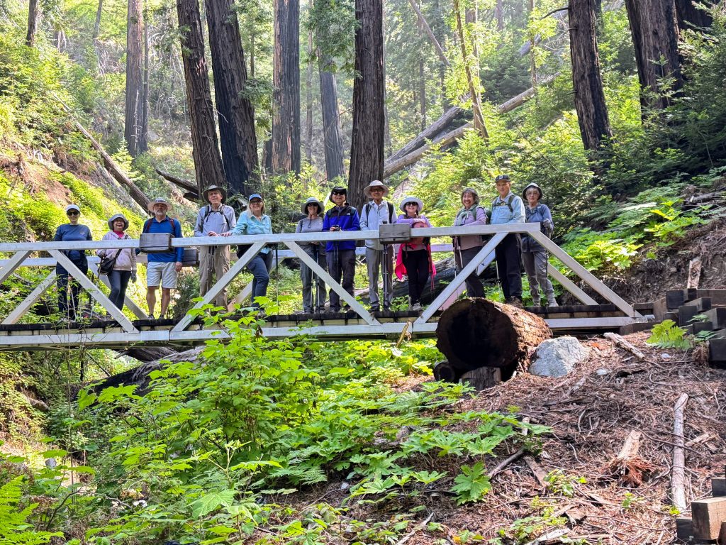 Big Sur 51