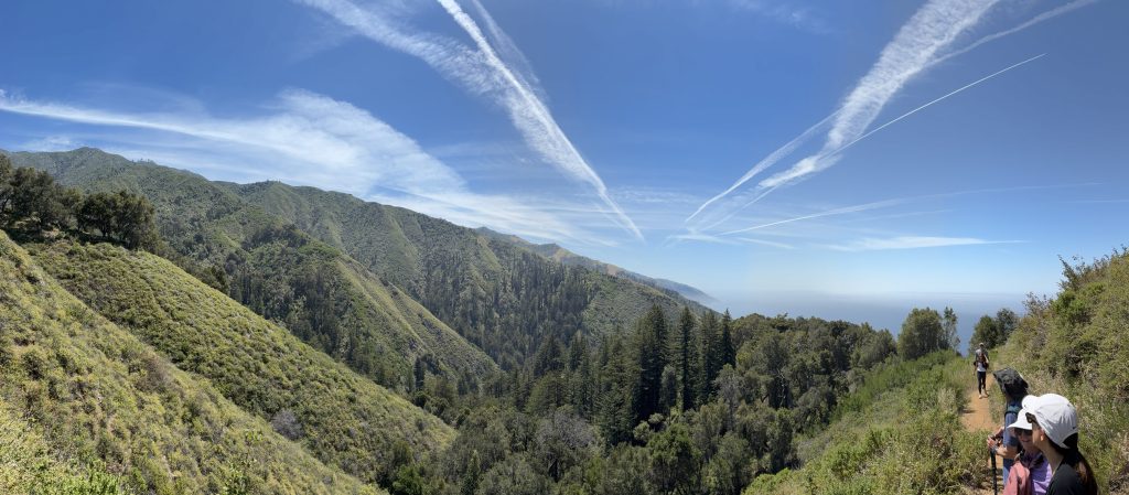 Big Sur 54