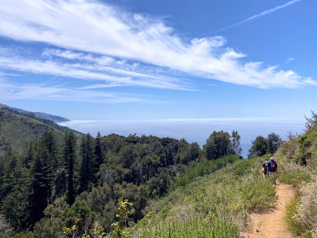 Big Sur 56
