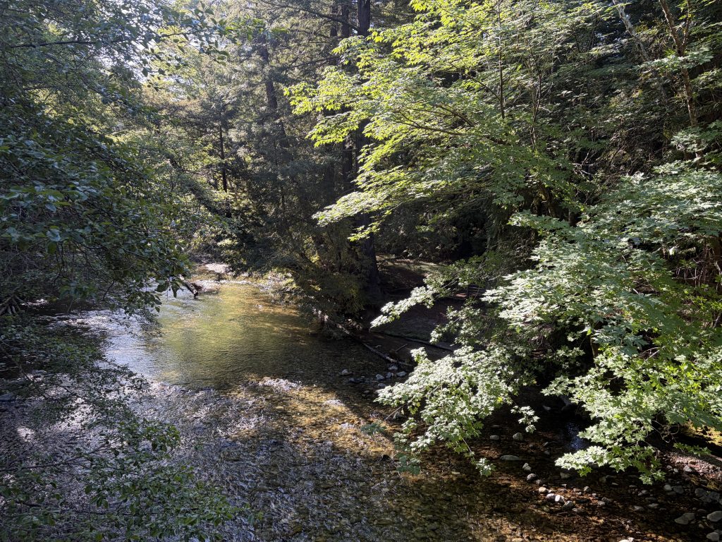 Big Sur 6